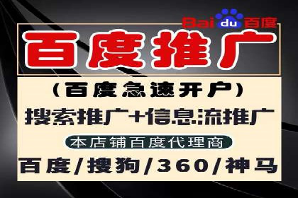 专业sem托管服务案例，揭秘广告投放优化策略